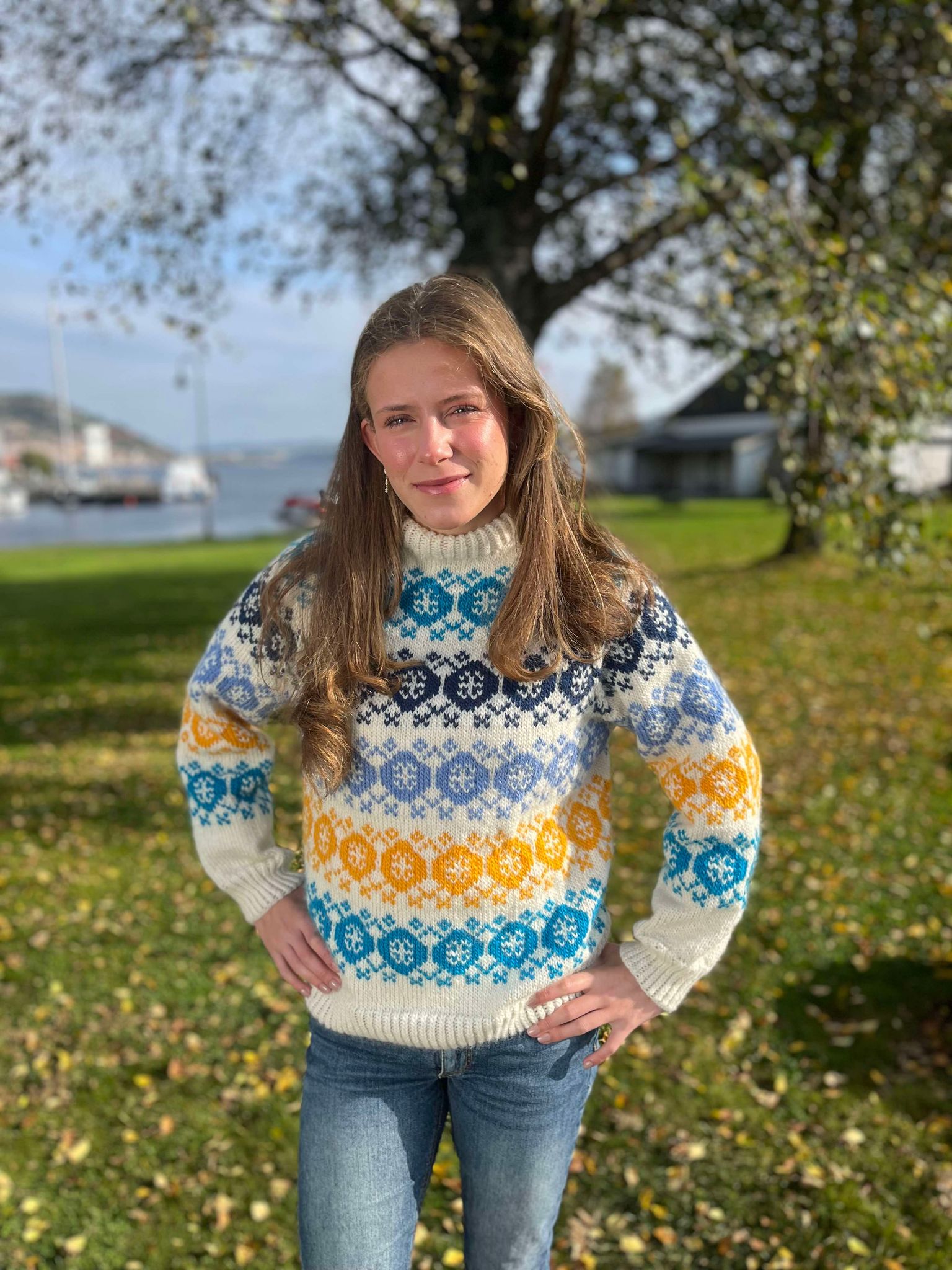 Bilde av attributt