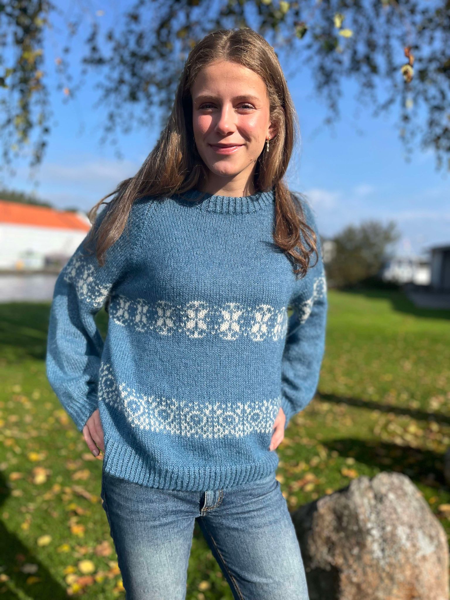 Bilde av attributt