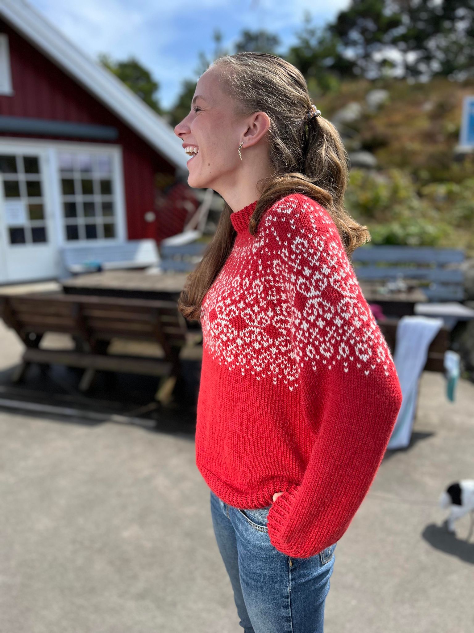 Bilde av attributt